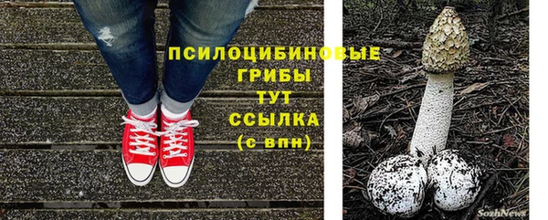 spice Лиски