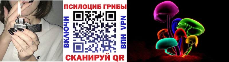 Галлюциногенные грибы Psilocybine cubensis  цены наркотик  Шацк 